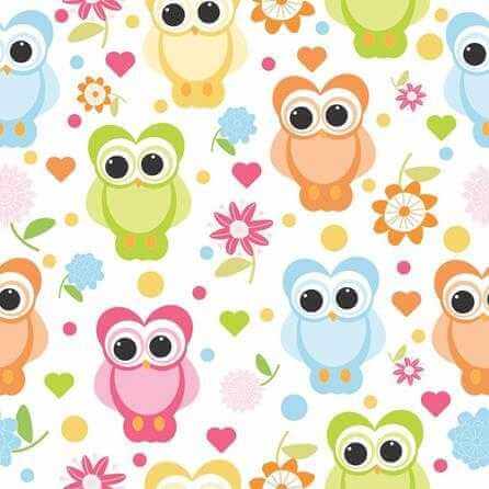 Papel de Parede Adesivo Corujas Coloridas 173010440 - Papel na Parede