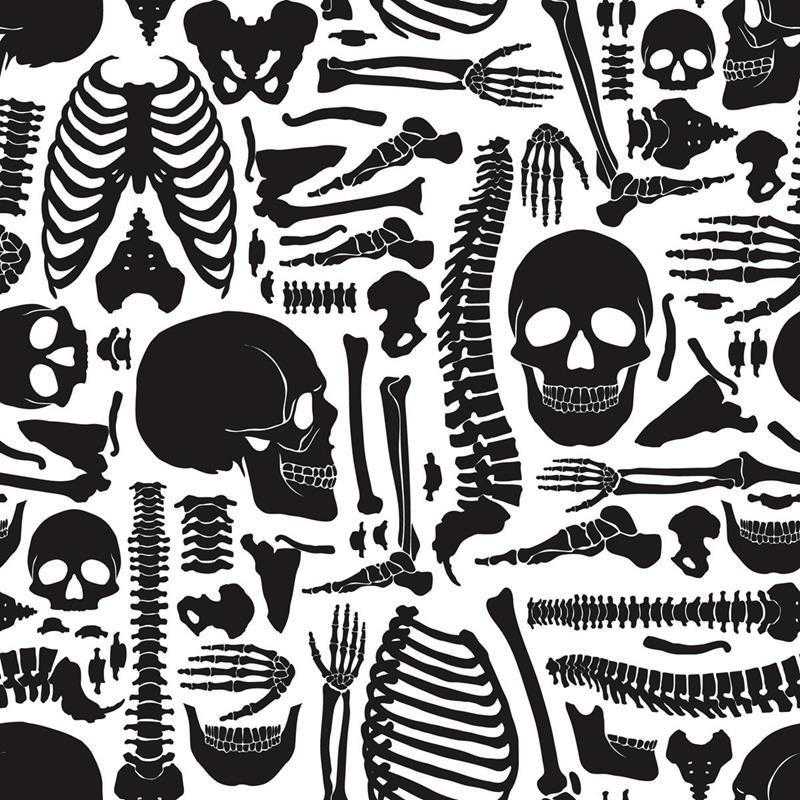 Papel de Parede Adesivo Esqueleto em Preto e Branco N05092 - Papel na Parede