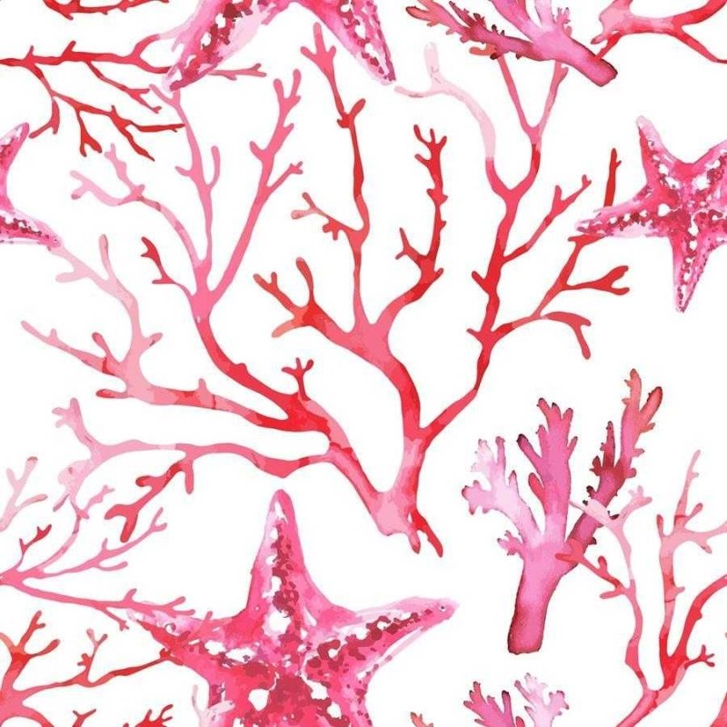 Papel de Parede Adesivo Estrela-do-mar e Algas N06009 - Papel na Parede