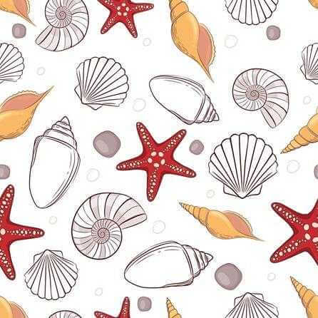Papel de Parede Adesivo Estrela Mar Concha Praia 63521 - Papel na Parede