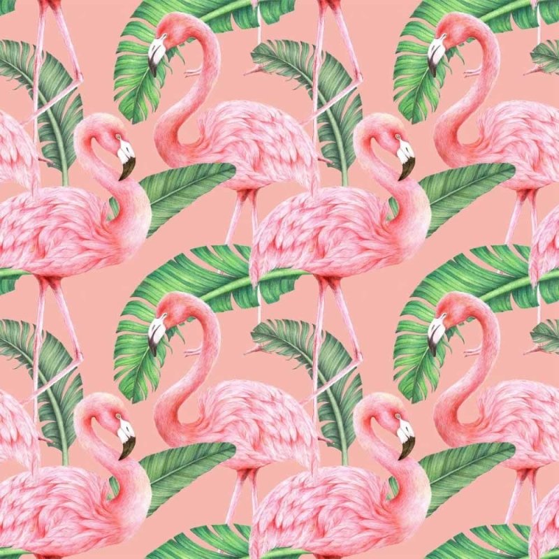 Papel de Parede Adesivo flamingos e folhas N014052 - Papel na Parede