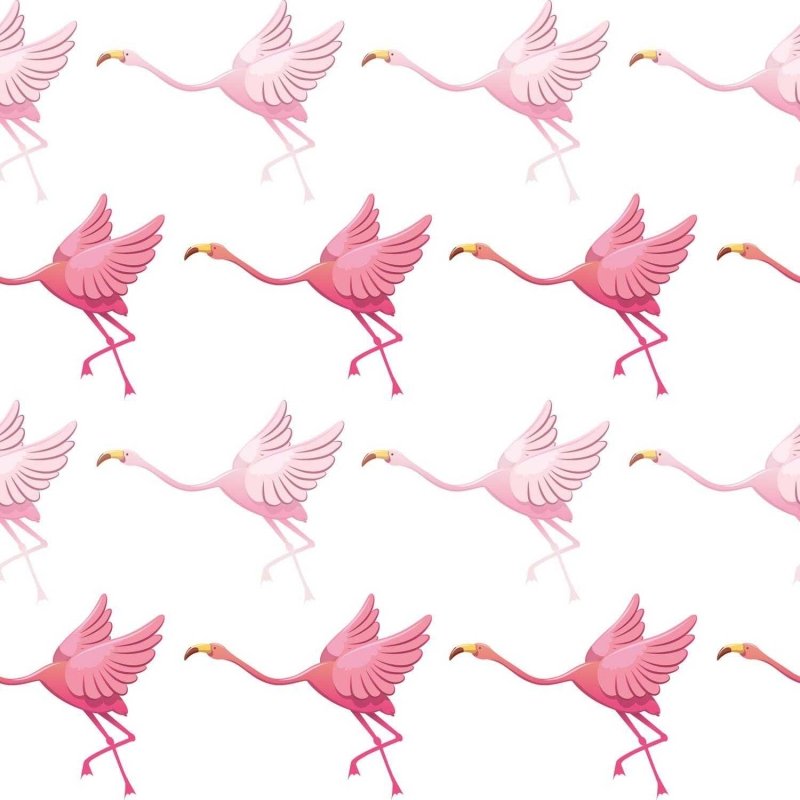 Papel de Parede Adesivo flamingos Saltitantes N03119 - Papel na Parede