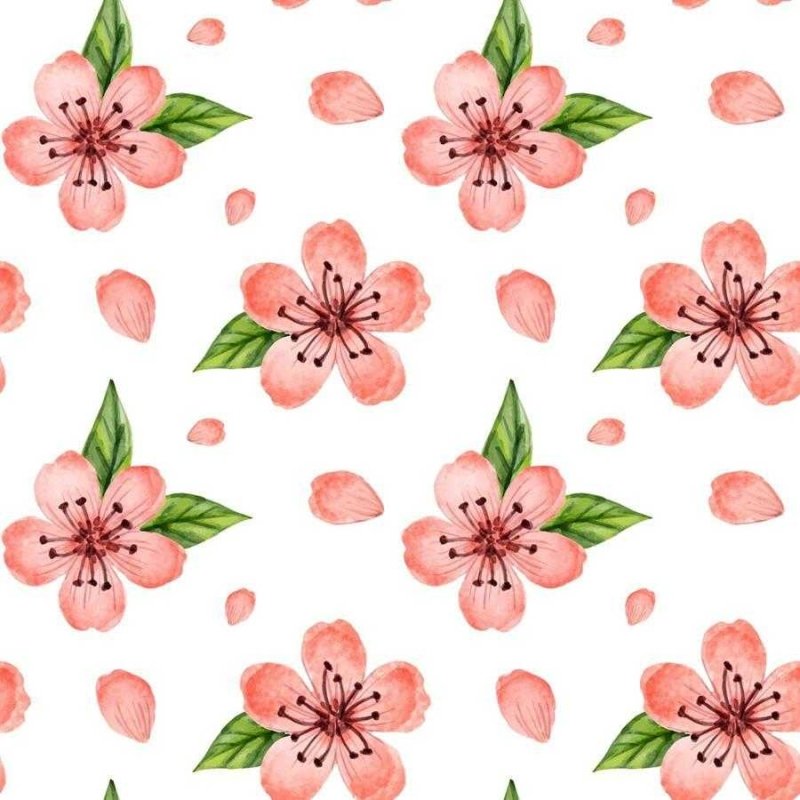 Papel de Parede Adesivo Flor de Cerejeira em Aquarela N06127 - Papel na Parede