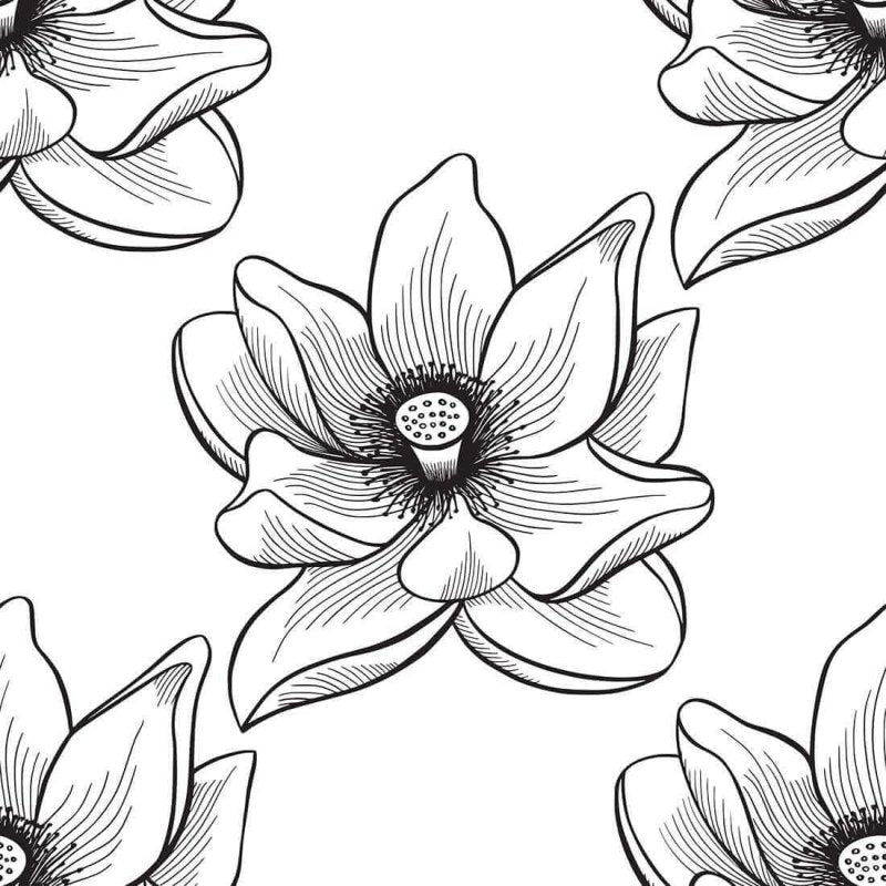 Papel de Parede Adesivo Flor N287B - Papel na Parede