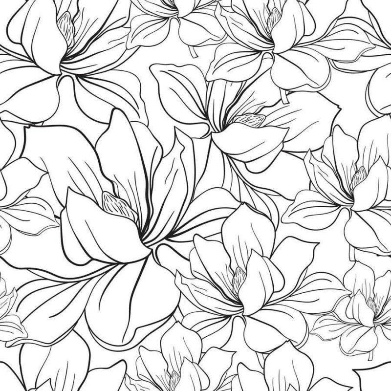 Papel de Parede Adesivo Floral Linhas Preto e Branco N06096 - Papel na Parede