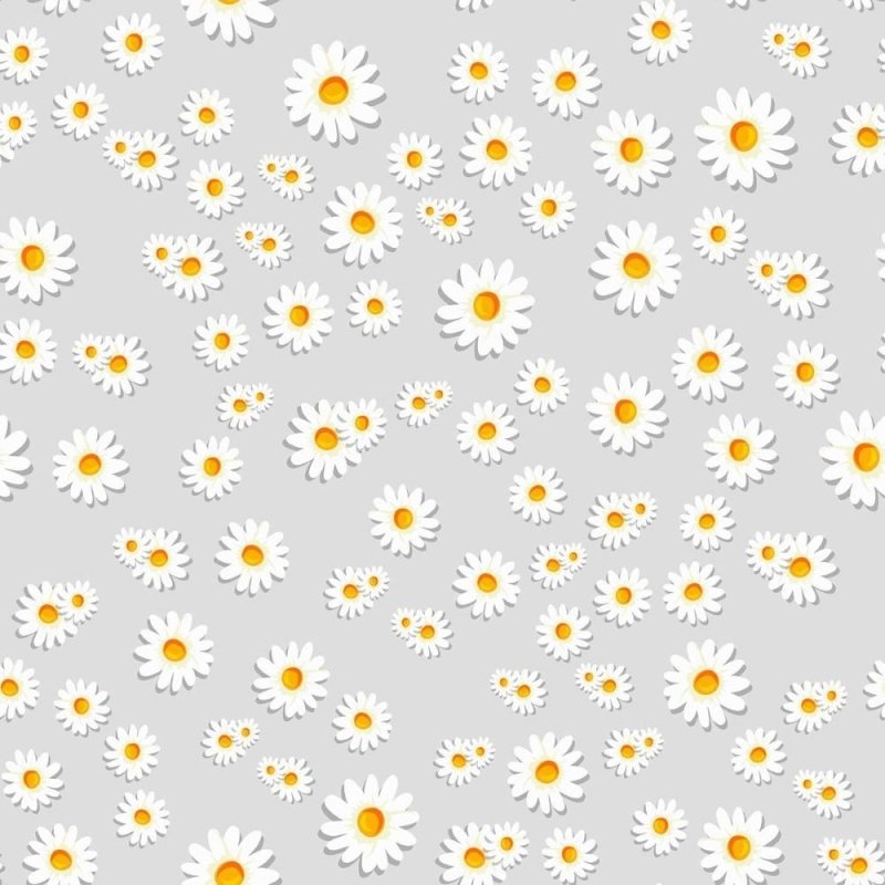 Papel de Parede Adesivo Floral Margaridas N011115 - Papel na Parede