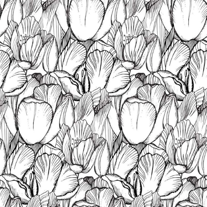 Papel de Parede Adesivo Floral N012113 - Papel na Parede