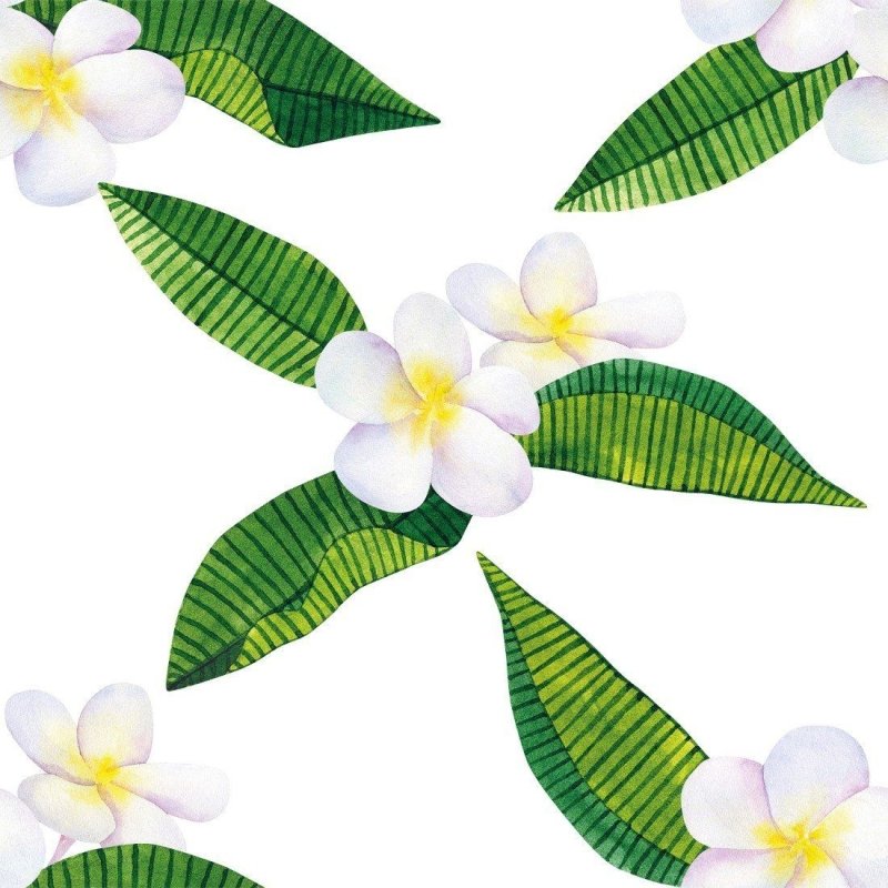 Papel de Parede Adesivo Floral N015055 - Papel na Parede