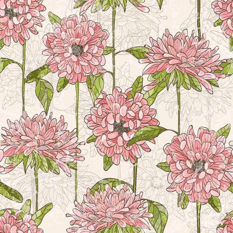 Papel de Parede Adesivo Floral Rosa 115867783 - Papel na Parede