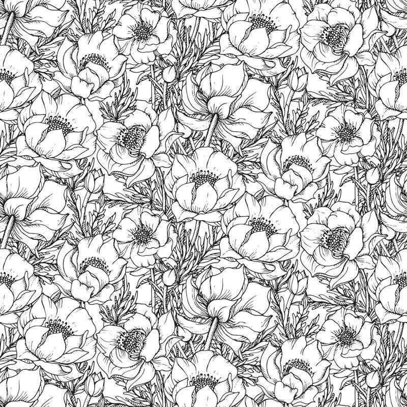 Papel de Parede Adesivo Flores de Primavera Colorir N05067 - Papel na Parede