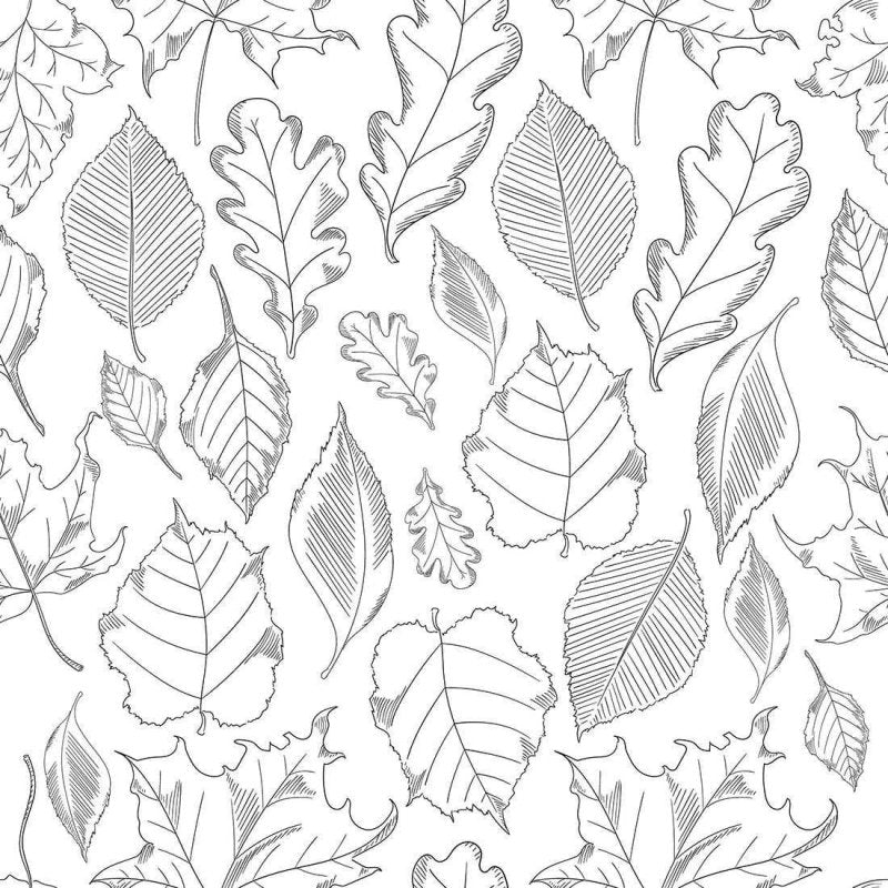 Papel de Parede Adesivo Folha N02211 - Papel na Parede