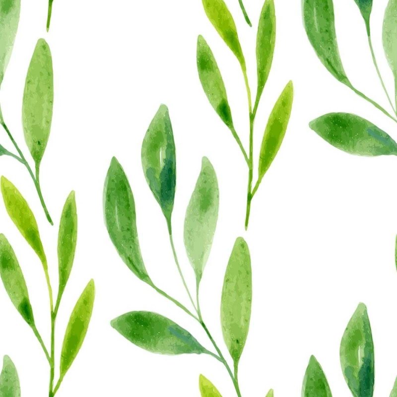 Papel de Parede Adesivo Folhagem Tropical Aquarela N04173 - Papel na Parede