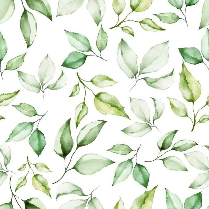 Papel de Parede Adesivo Folhas Aquarela N06112 - Papel na Parede