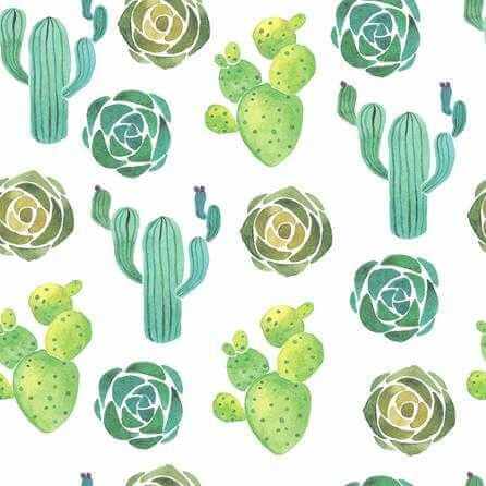 Papel de Parede Adesivo Folhas Caquito Naturaza Jovem 64685 - Papel na Parede