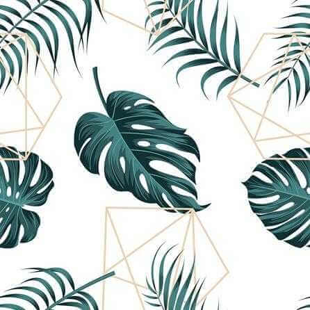 Papel de Parede Adesivo Folhas N292 - Papel na Parede