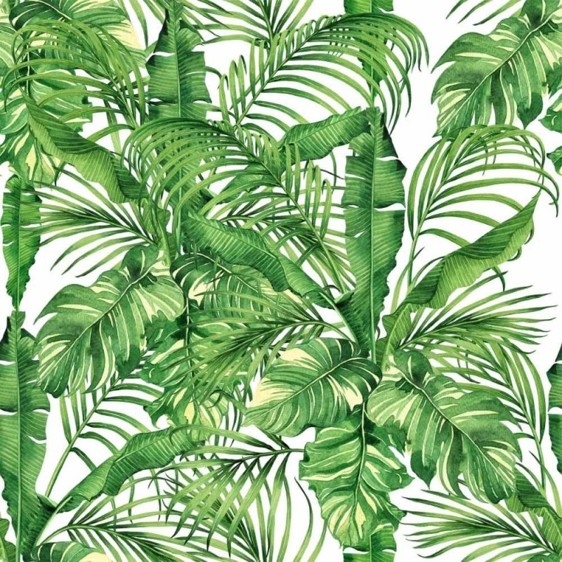 Papel de Parede Adesivo Folhas Tropicais N014210 - Papel na Parede