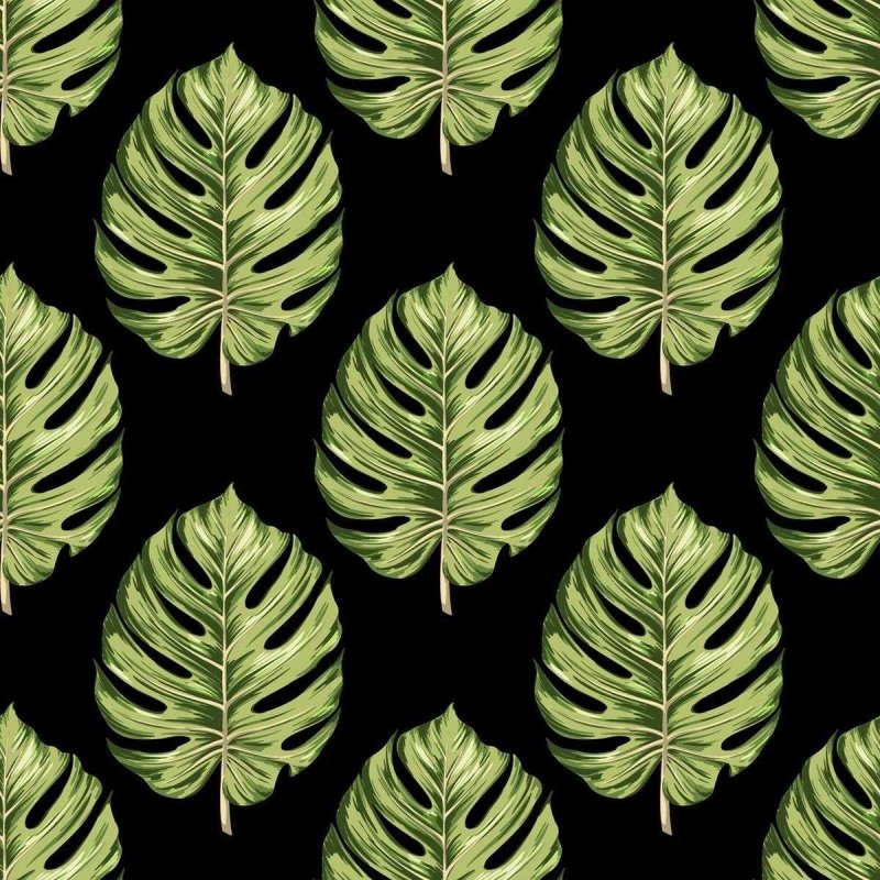 Papel de Parede Adesivo Folhas Verdes Espaçadas N03096 - Papel na Parede