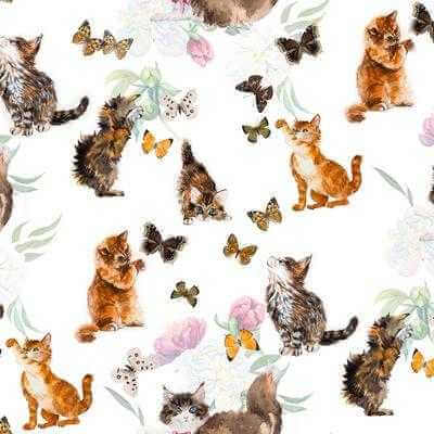 Papel de Parede Adesivo Gatinhos 226195426 - Papel na Parede