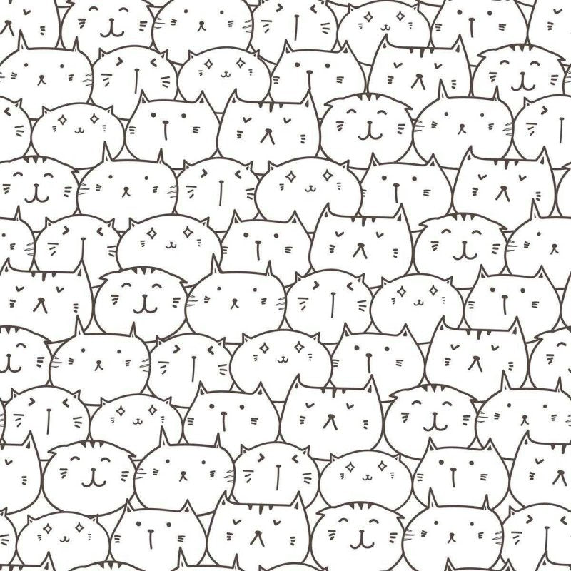 Papel de Parede Adesivo Gatinhos para Colorir N04043 - Papel na Parede