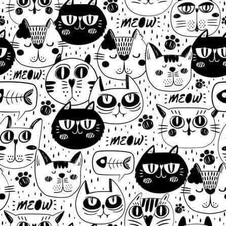 Papel de Parede Adesivo Gato Preto Tumblr 525647 - Papel na Parede