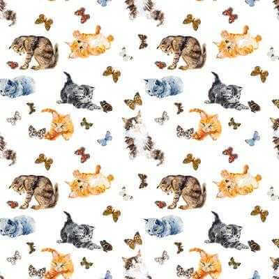 Papel de Parede Adesivo Gatos 246892993 - Papel na Parede