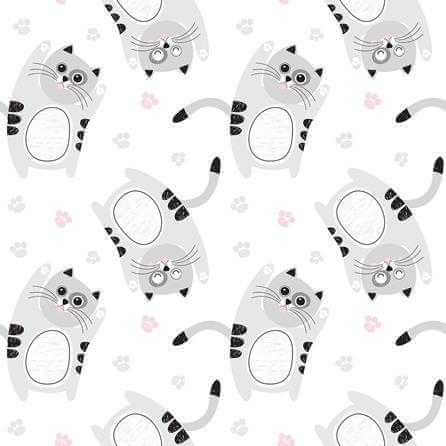 Papel de Parede Adesivo Gatos Tumblr N231 - Papel na Parede