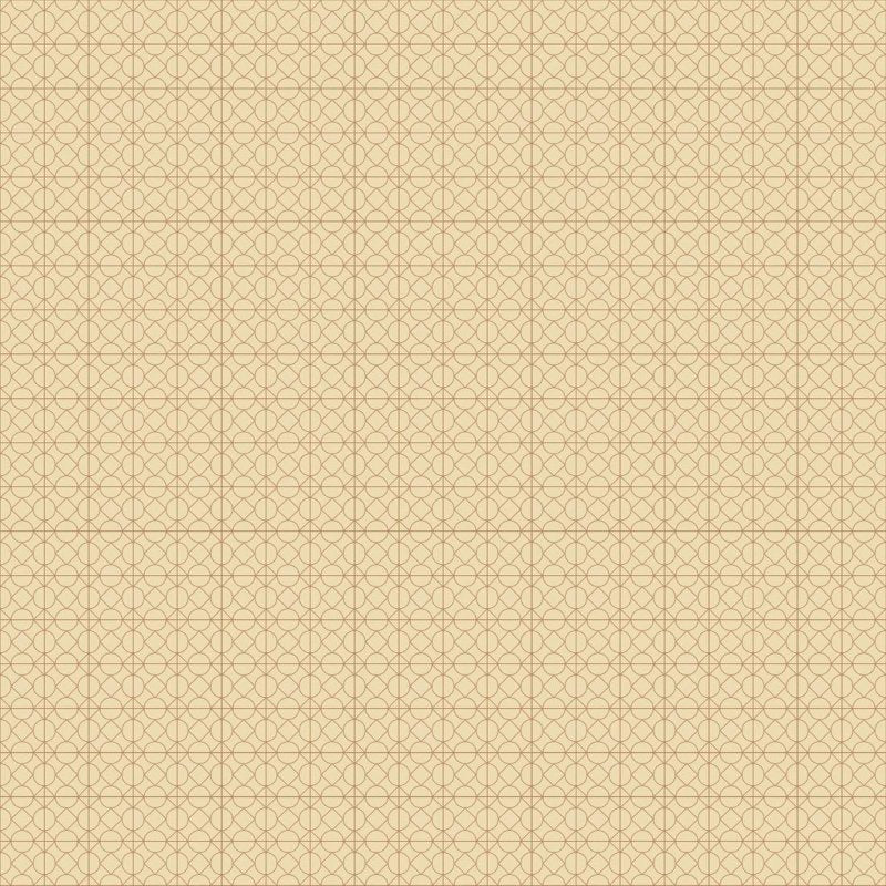 Papel de Parede Adesivo Geométrico Minimalista N017095 - Papel na Parede