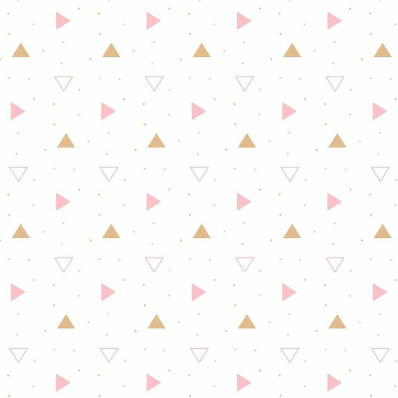 Papel de Parede Adesivo Geométrico N190124C - Papel na Parede