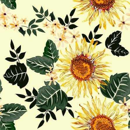 Papel de Parede Adesivo Girassóis N86 - Papel na Parede