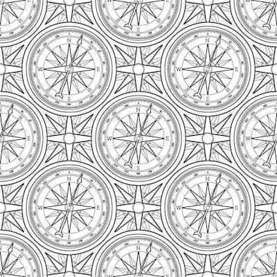 Papel de Parede Adesivo Jovem Bússulas 366751715 - Papel na Parede