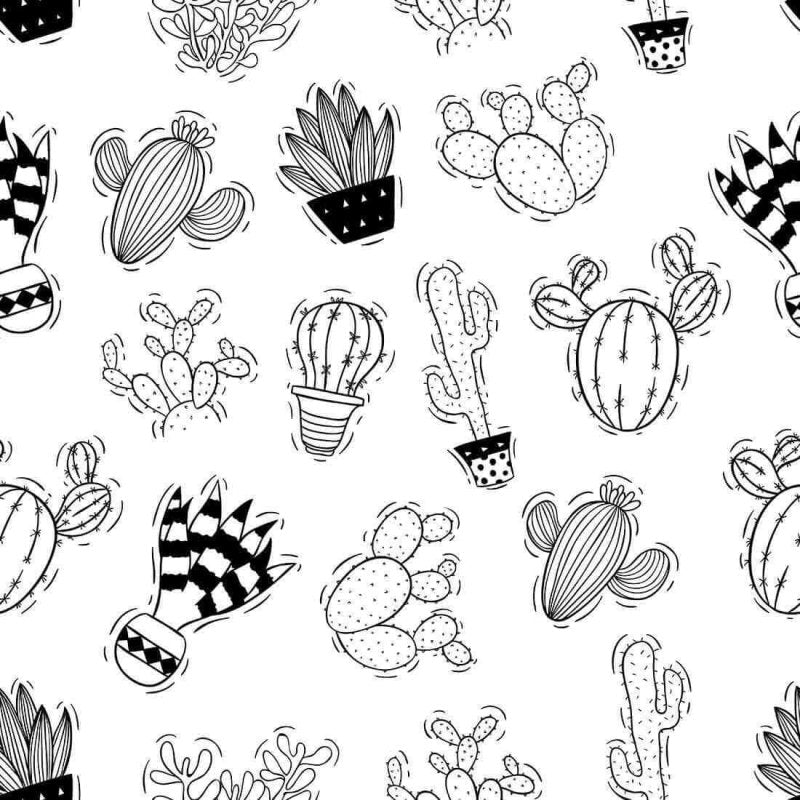 Papel de Parede Adesivo Jovem N20638 - Papel na Parede