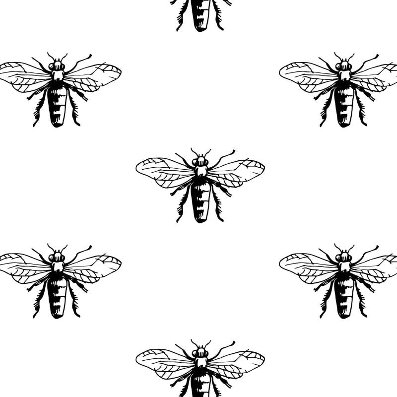 Papel de Parede Adesivo Jovem Natureza N02190 - Papel na Parede