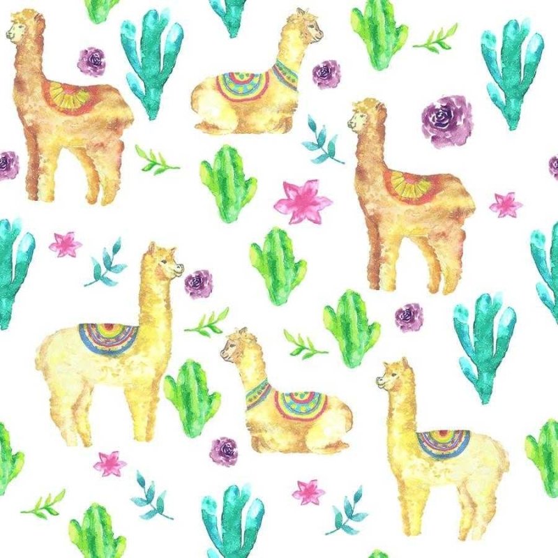 Papel de Parede Adesivo Lhamas e Cactus N06113 - Papel na Parede