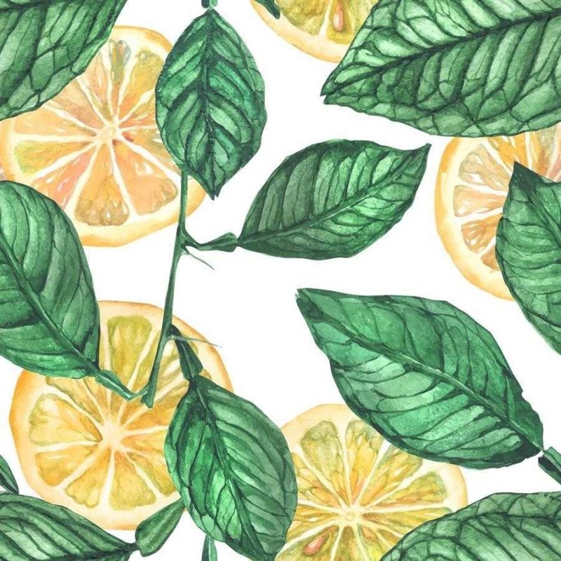 Papel de Parede Adesivo Limão em Fundo Branco N06094 - Papel na Parede