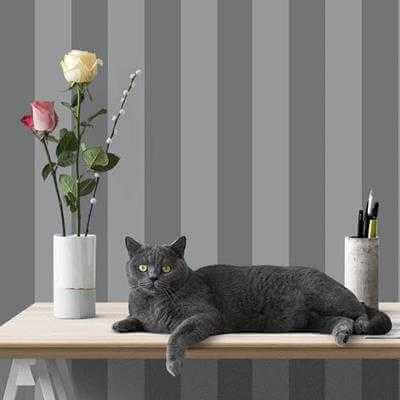 Papel de Parede Adesivo Listrado Cinza 1117 - Papel na Parede