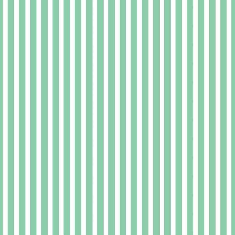 Papel de Parede Adesivo Listras Verde e Branco N06276 - Papel na Parede