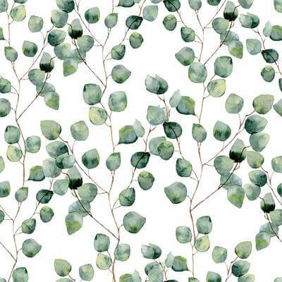 Papel de Parede Adesivo Natureza Folhas Branco 440690605 - Papel na Parede