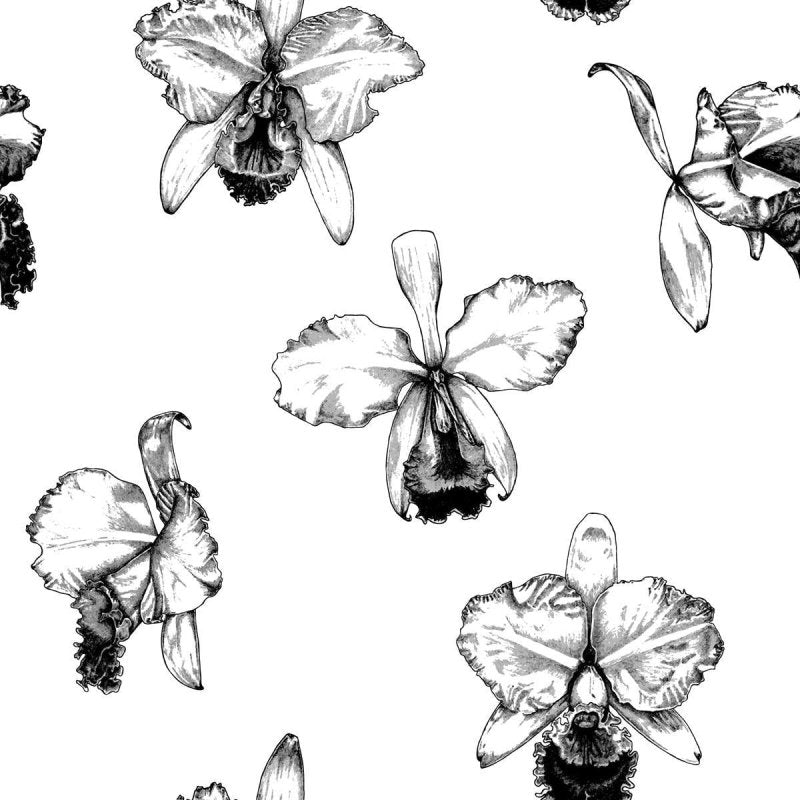 Papel de Parede Adesivo Orquídea Preto e Branco N04107 - Papel na Parede