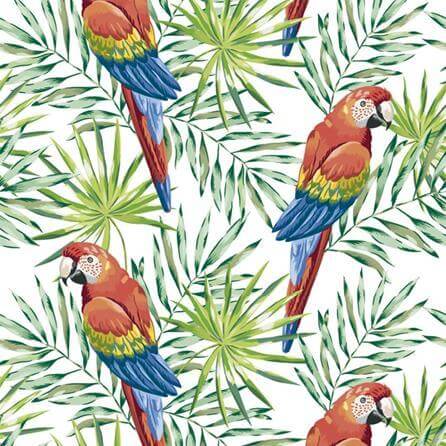 Papel de Parede Adesivo Pássaros Papagaios 560595790 - Papel na Parede