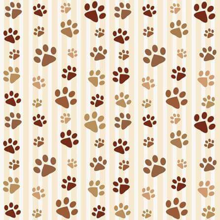 Papel de Parede Adesivo Patinhas 109223078 - Papel na Parede