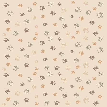 Papel de Parede Adesivo Patinhas 37388935 - Papel na Parede