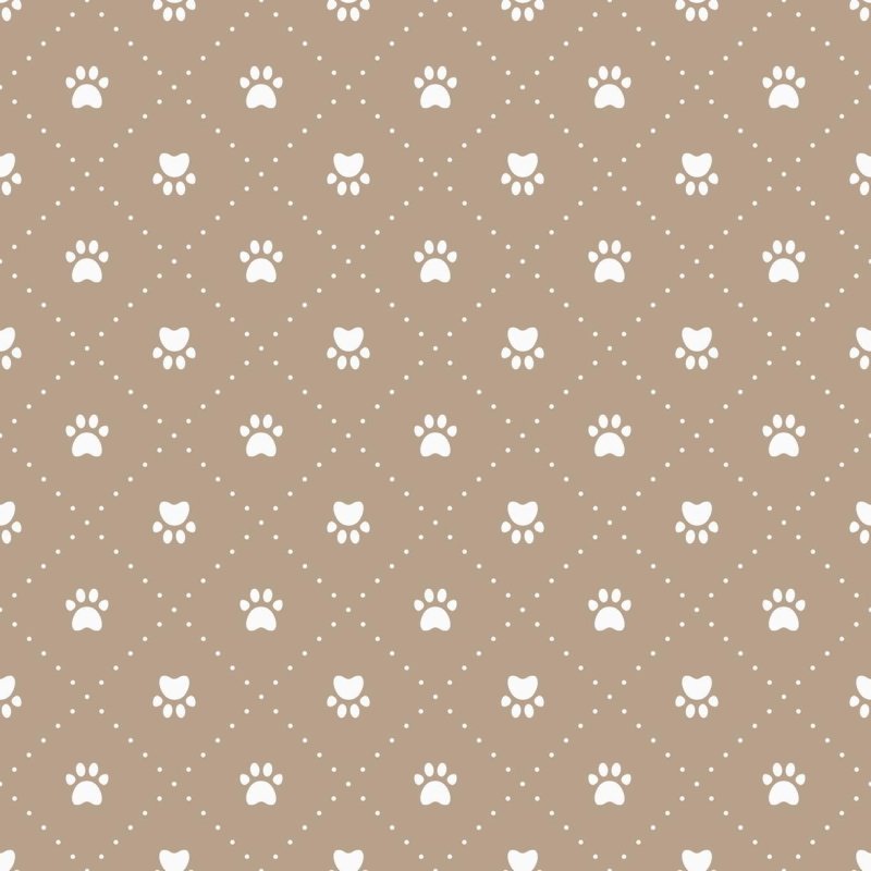 Papel de Parede Adesivo Patinhas Marrom N06176 - Papel na Parede