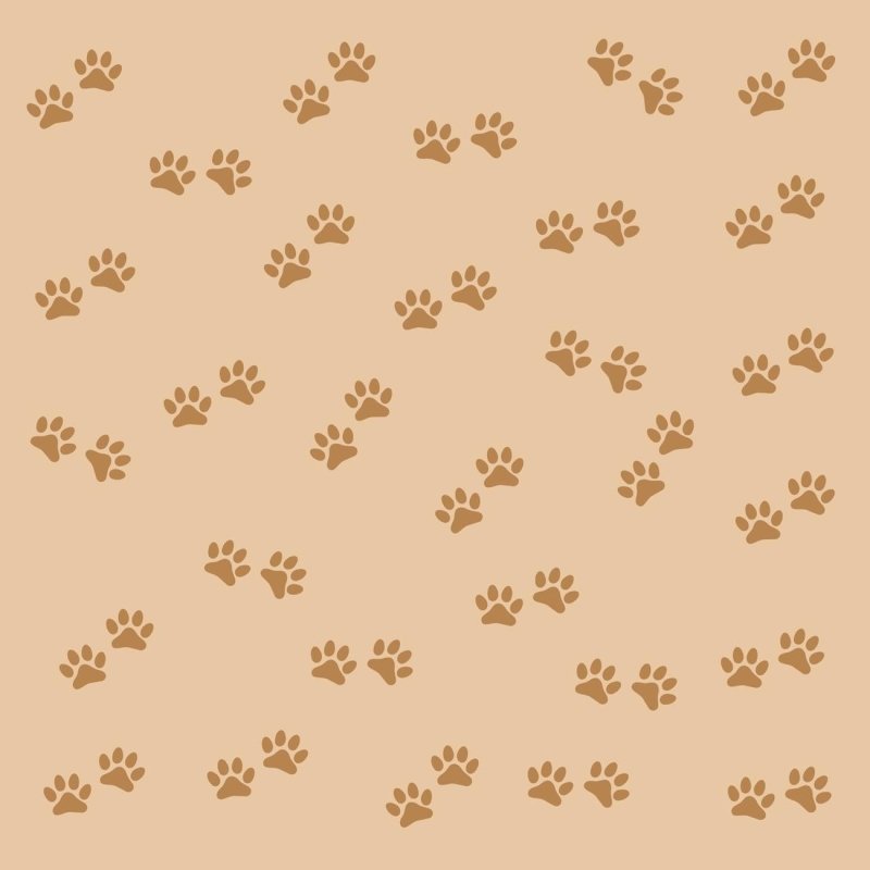Papel de Parede Adesivo Patinhas salmão N06195 - Papel na Parede