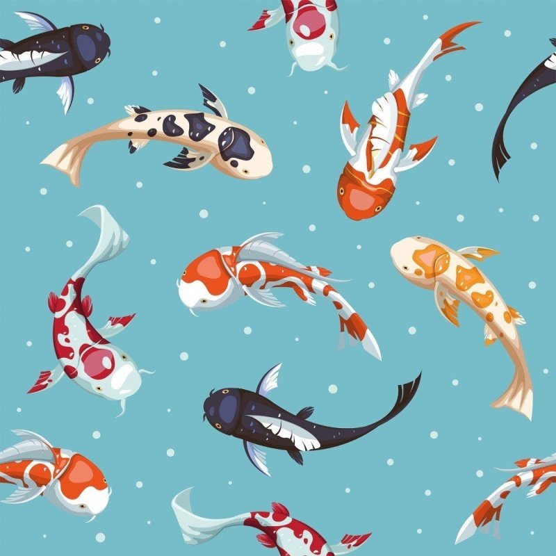 Papel de Parede Adesivo Peixes Carpas Golden Koi N015044 - Papel na Parede