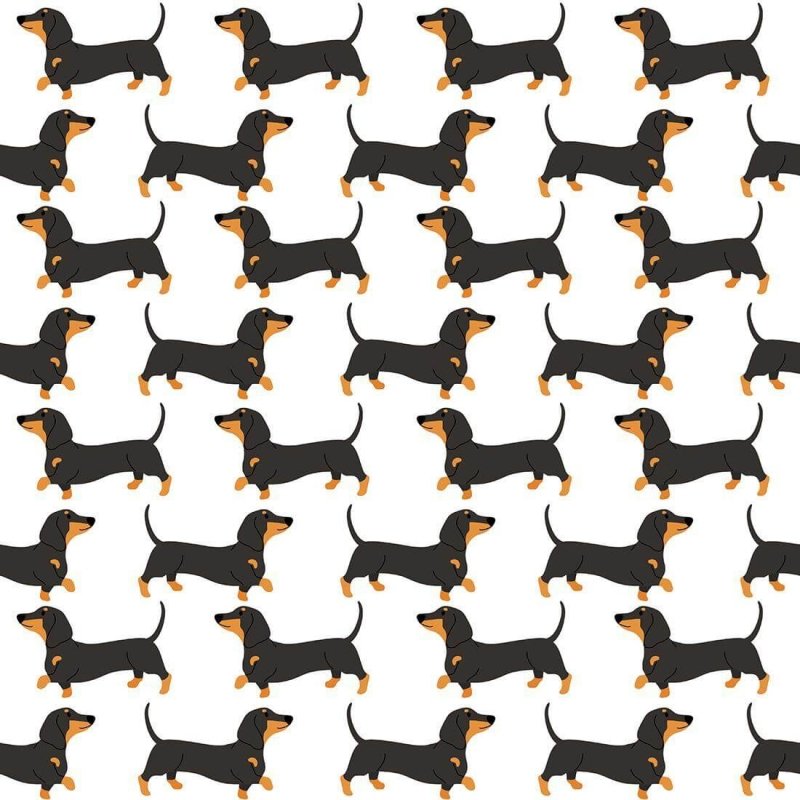 Papel de Parede Adesivo Pet N97 - Papel na Parede