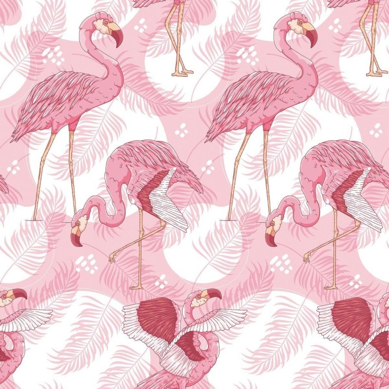 Papel de Parede Adesivo Tropical Aves Flamingo N016072 - Papel na Parede