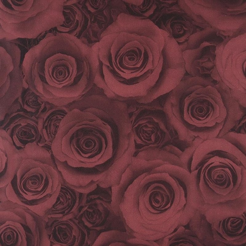 Papel de Parede Diamond OP2-350504 - Papel na Parede