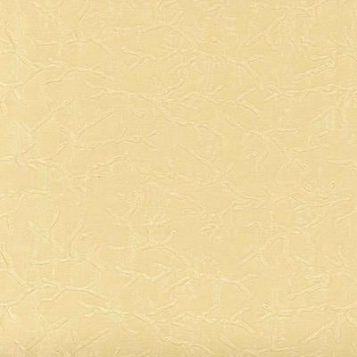 Papel de Parede Fiorenza FI8351 - Papel na Parede