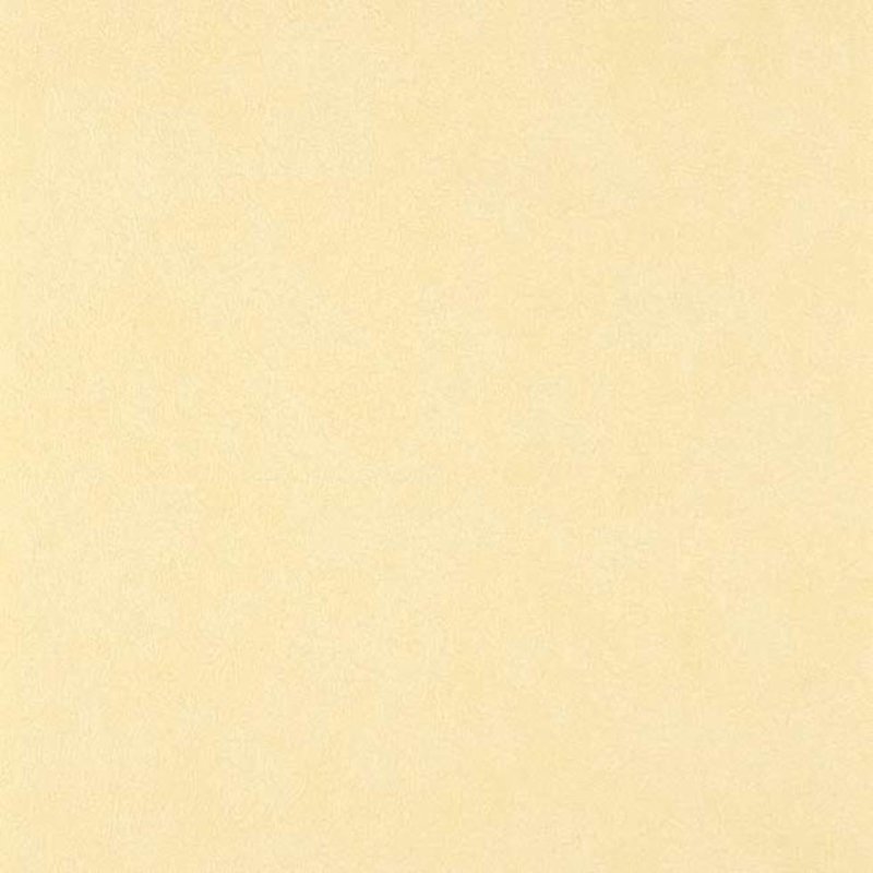 Papel de Parede Textura Amarelo Colours WW116-26 - Papel na Parede