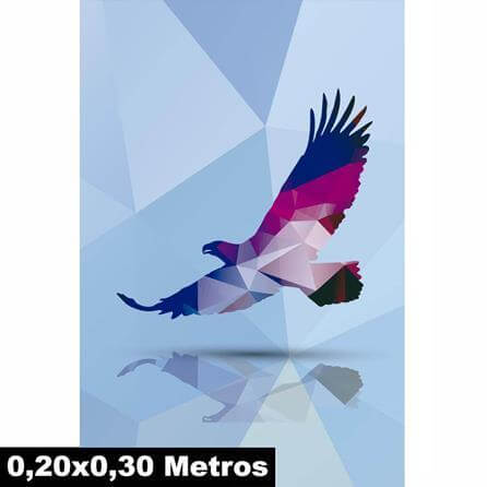 Poster Decorativo Àguia Pássaro 19005 - Papel na Parede